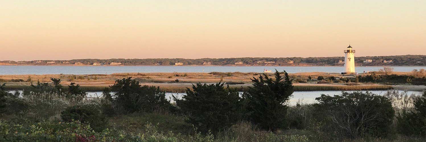 Ofertas en vuelos desde Nueva York hacia Martha's Vineyard (MVY)