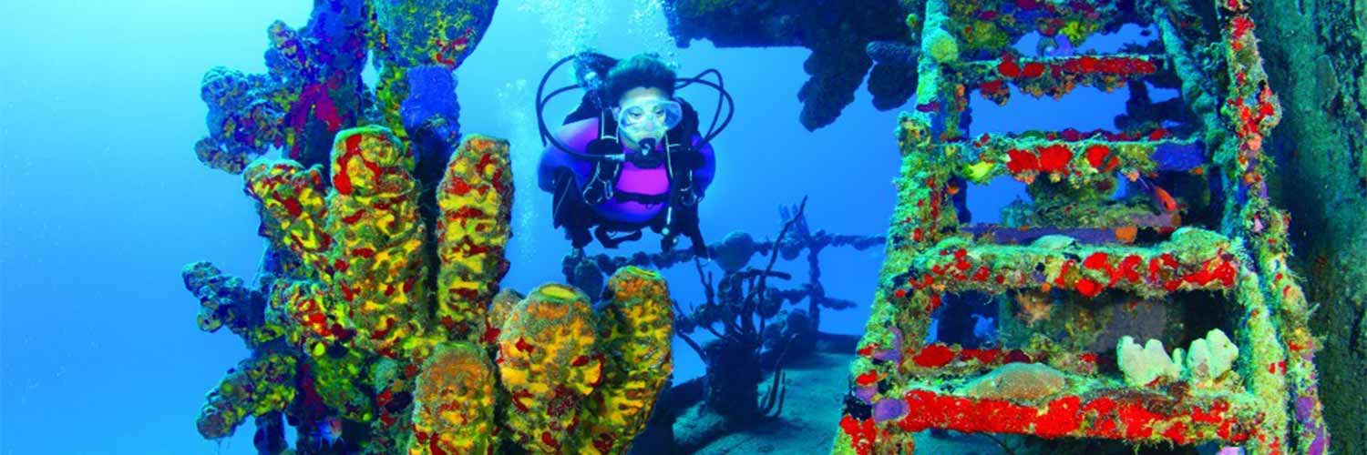 Compara vuelos hacia Saint Croix (STX)