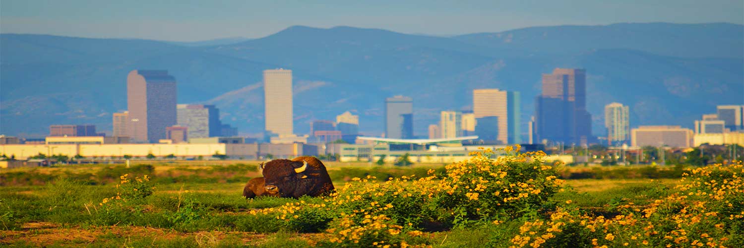 Vacations from Washington, D.C. to Denver