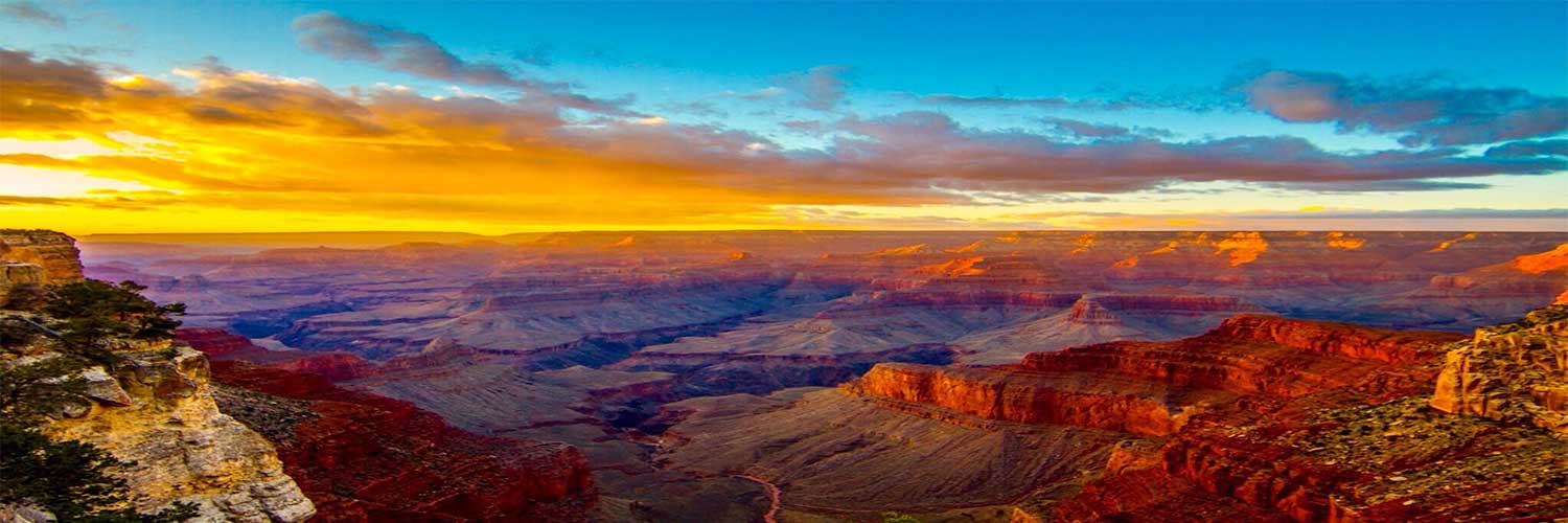 Flights from New York/Newark to Phoenix with American Airlines
