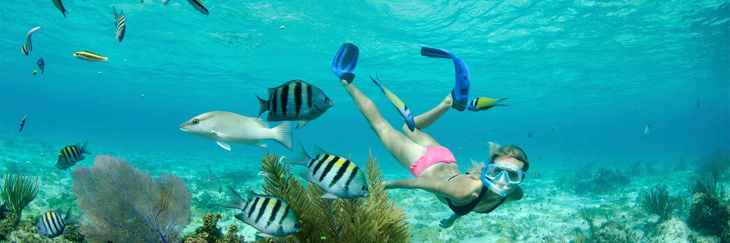 American Airlines flights from Boston to Grand Cayman