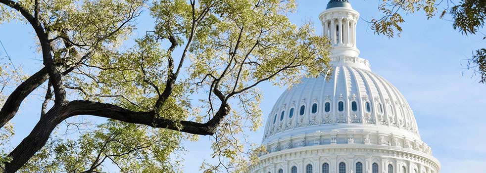 Saint Petersburg to Washington Flights (LED - IAD)