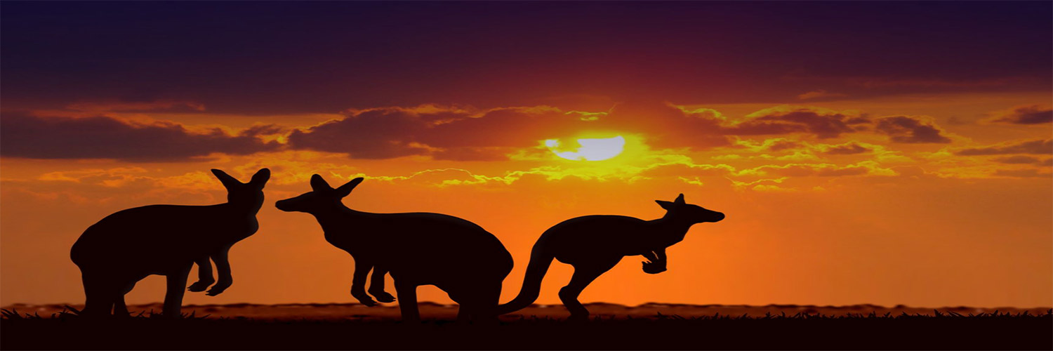 EVA Air Taiwan to Australia Flights