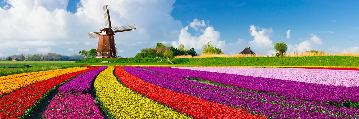 Flights from Tokyo to Netherlands - JAPAN AIRLINES