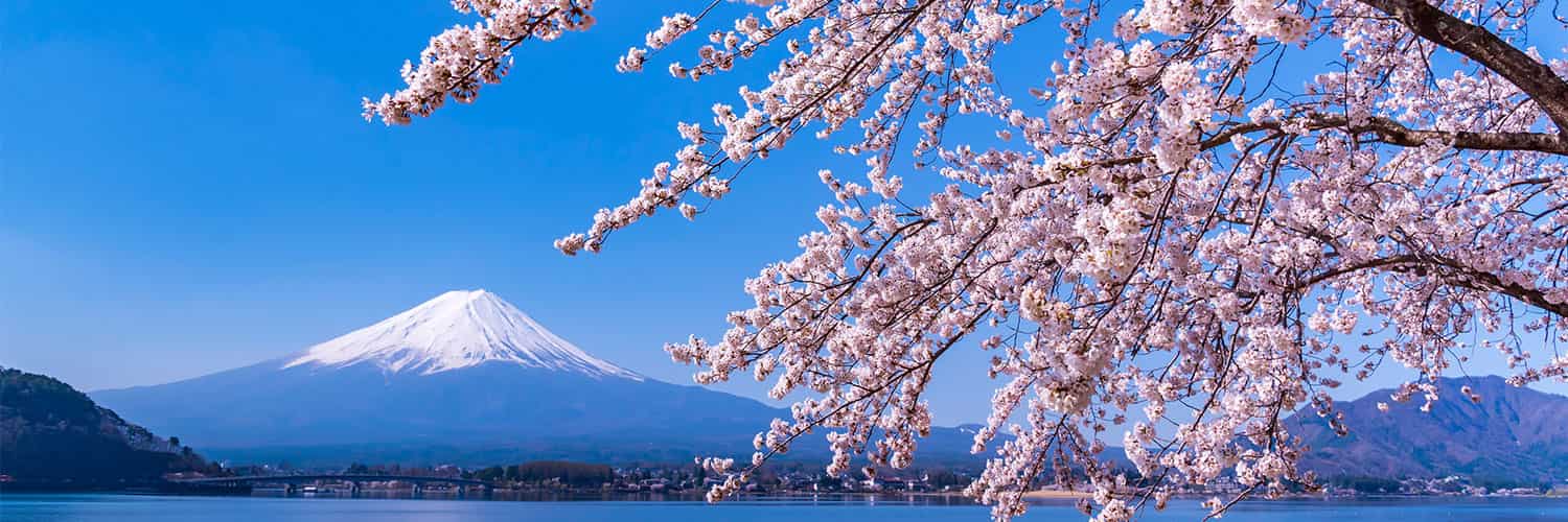 Flight and Hotel Vacation Packages From Pasco to Fukuura