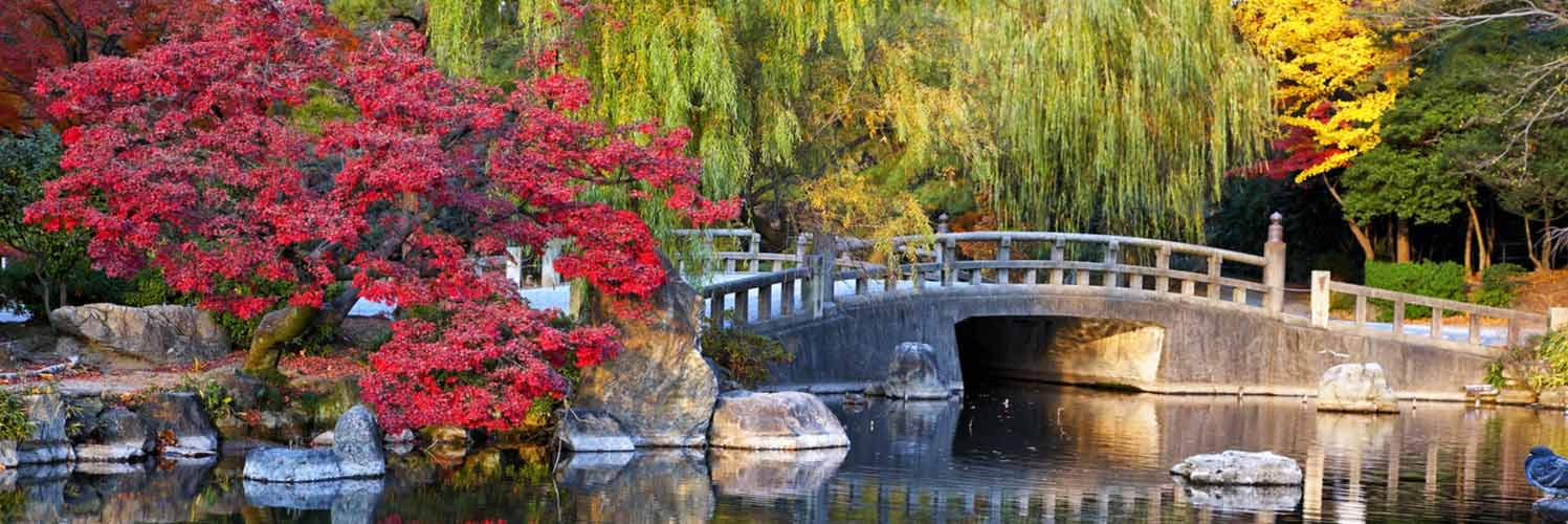 Find Taipei to Nagoya Flights with EVA Air