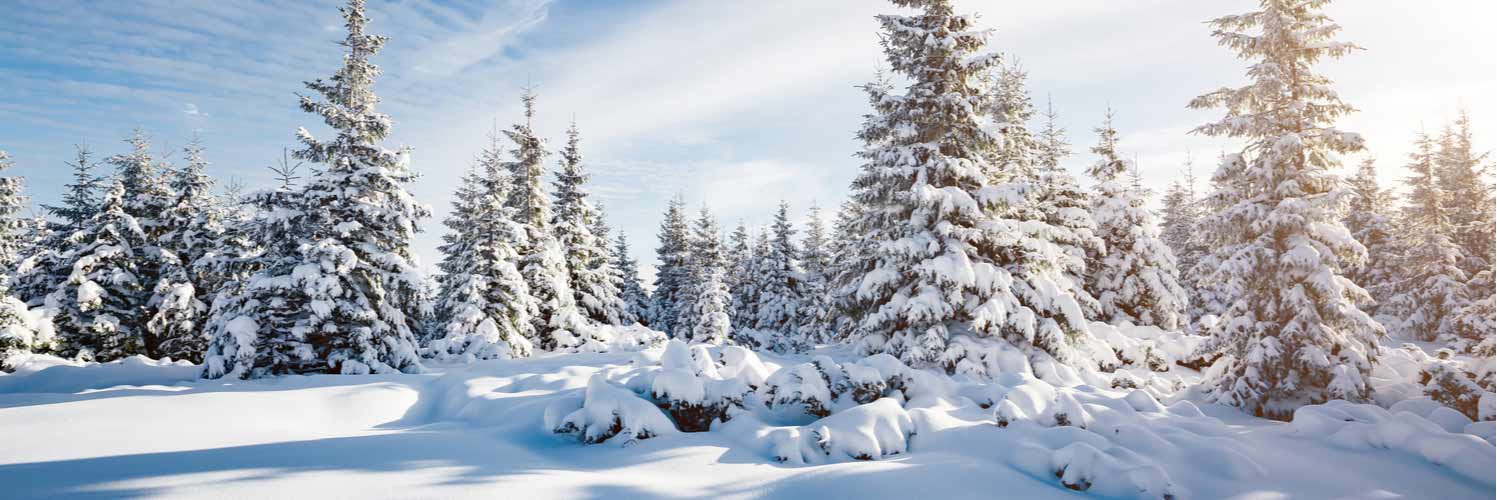 Offres de vols vers la Finlande avec Air Canada