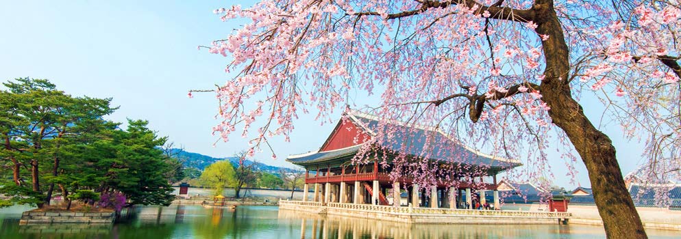 Compare Ho Chi Minh City to Seoul (SGN - ICN) Deals