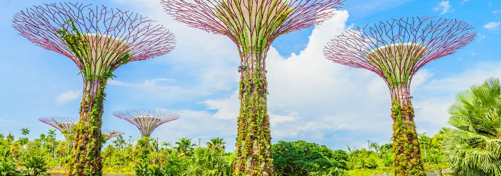 Compare Guangzhou to Singapore (CAN - SIN) Deals