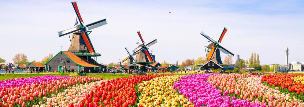 Compare Cheap Japan to Netherlands Flights
