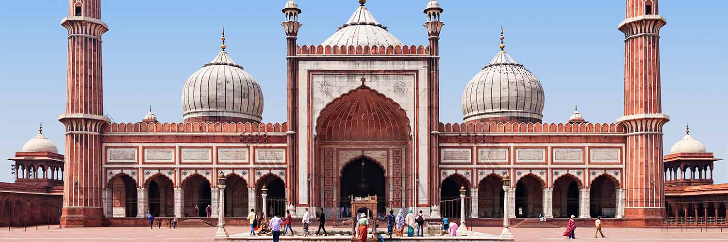 Thai Airways Flights to Delhi (DEL)
