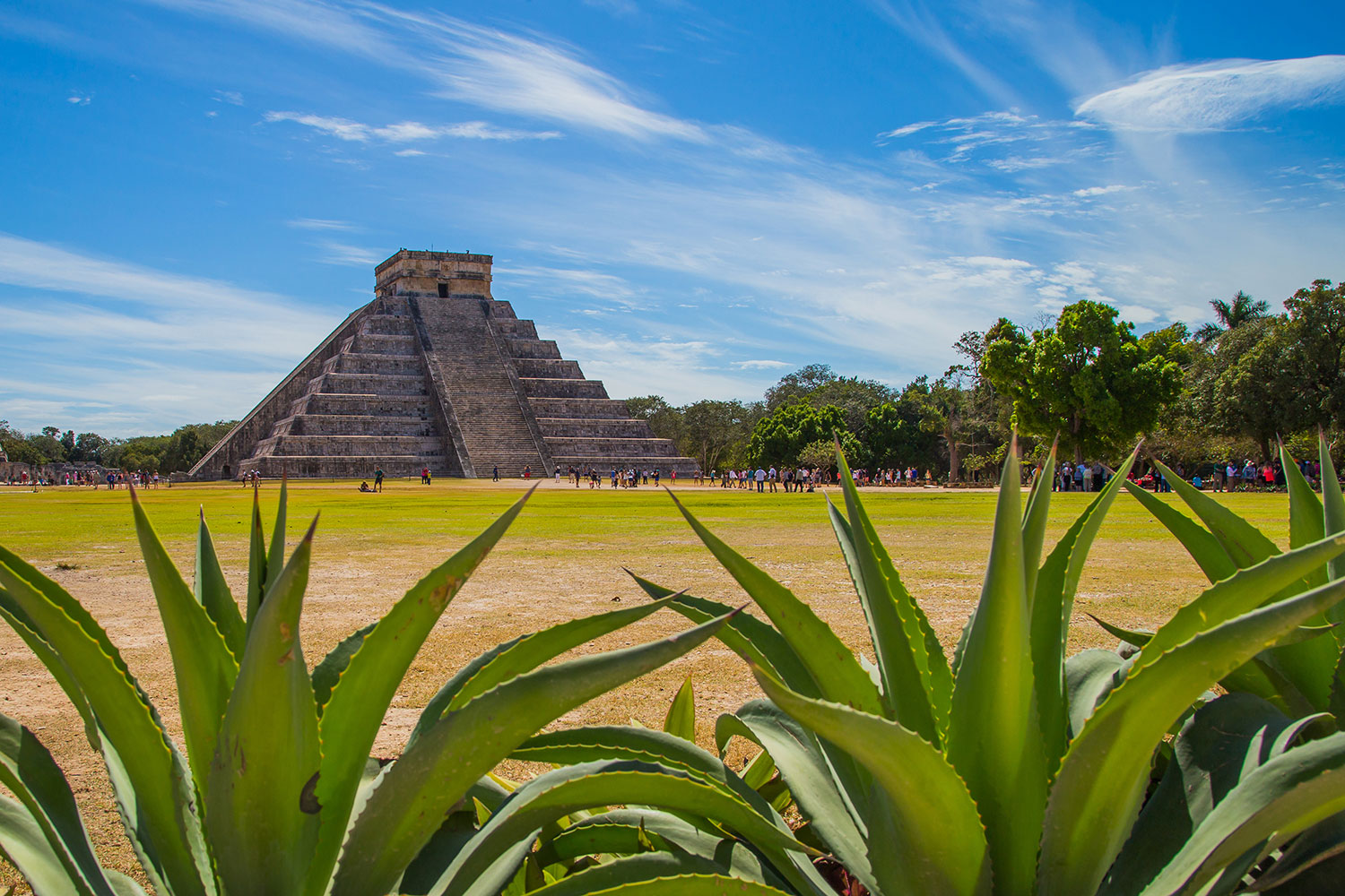 Mayan pyramid in Mexico in the middle of a yellow and green field