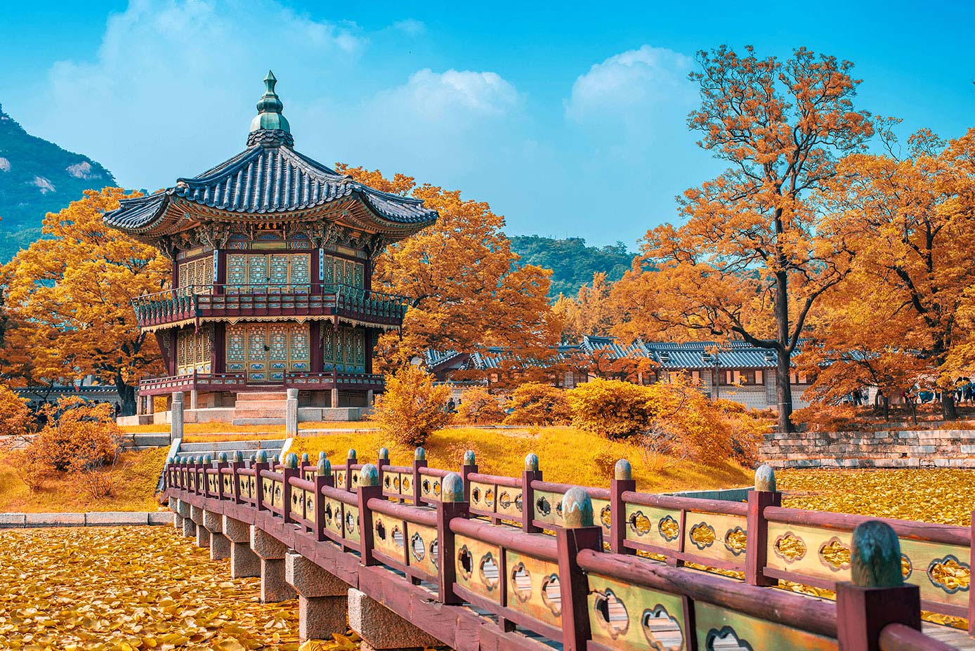 Cheap Flights from Omaha to South Korea United Airlines