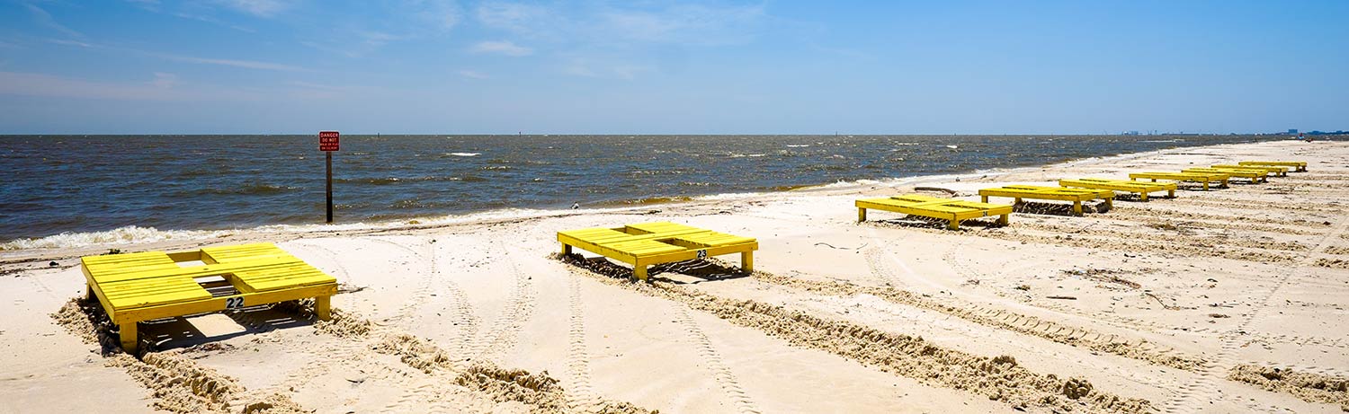 Beach in Gulfport with yellow lounge chairs along the shoreline