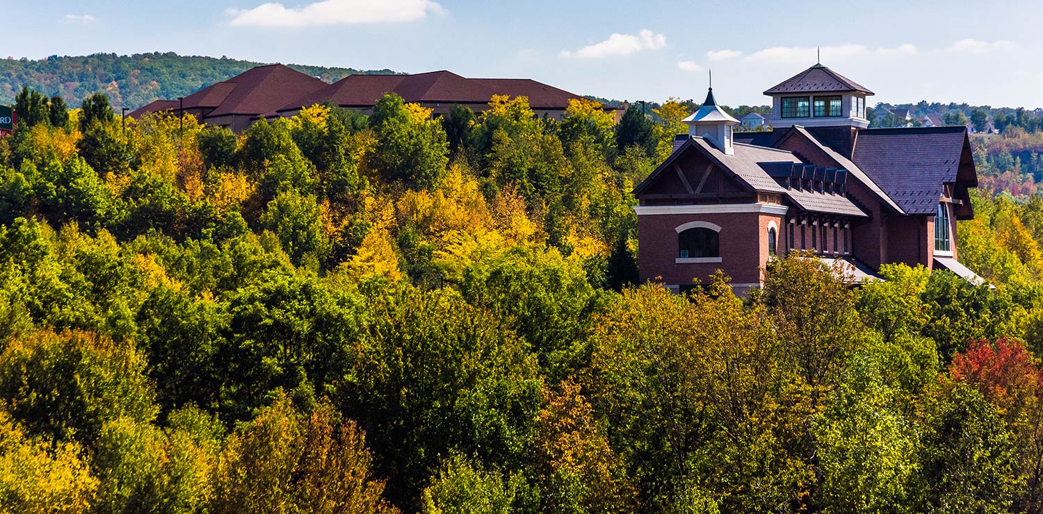 A brown building rises above a thick forest of trees in Scranton