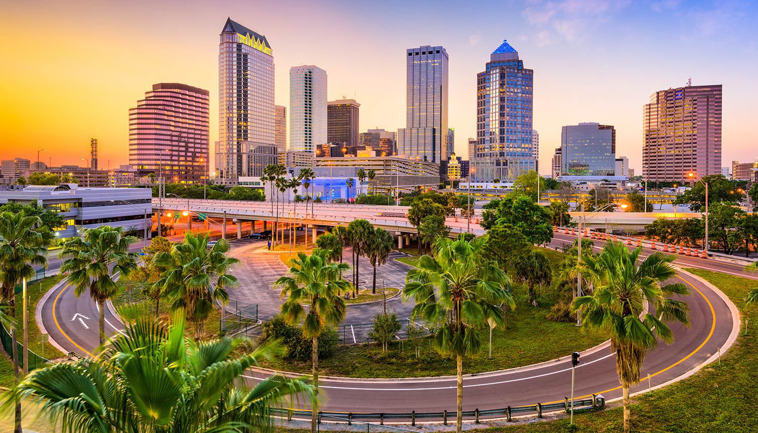 Flights from tampa hot sale to new jersey