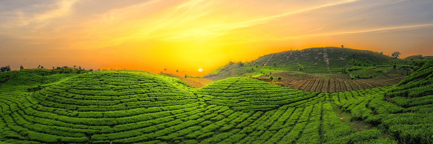 Flights to Bagdogra Book Flight Tickets to Bagdogra from INR5,149