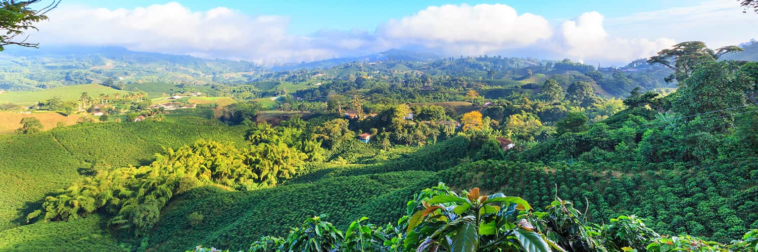 Search Bilbao to Pereira (BIO - PEI) Flight Deals