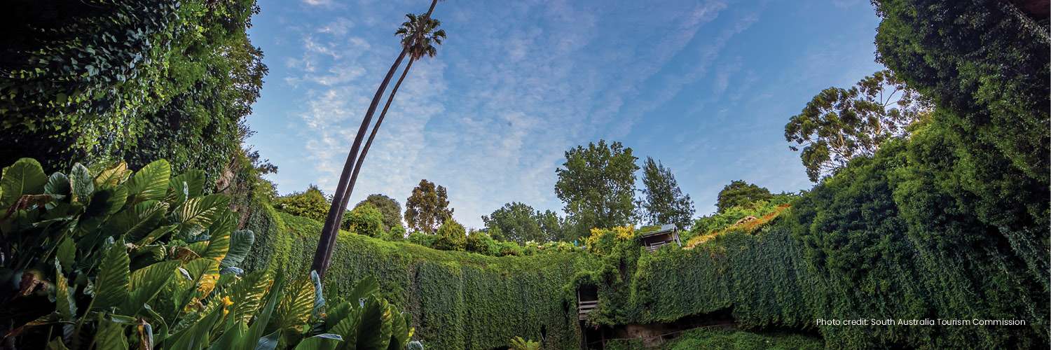 Flights from Melbourne (MEL) to Mount Gambier (MGB) Rex Airlines