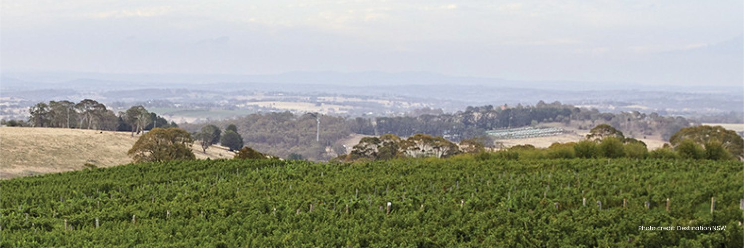 Rex Flight Schedule Sydney To Orange